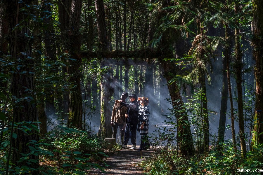 中医,一种跨越国界的热爱 中医,一种跨越国界的热爱