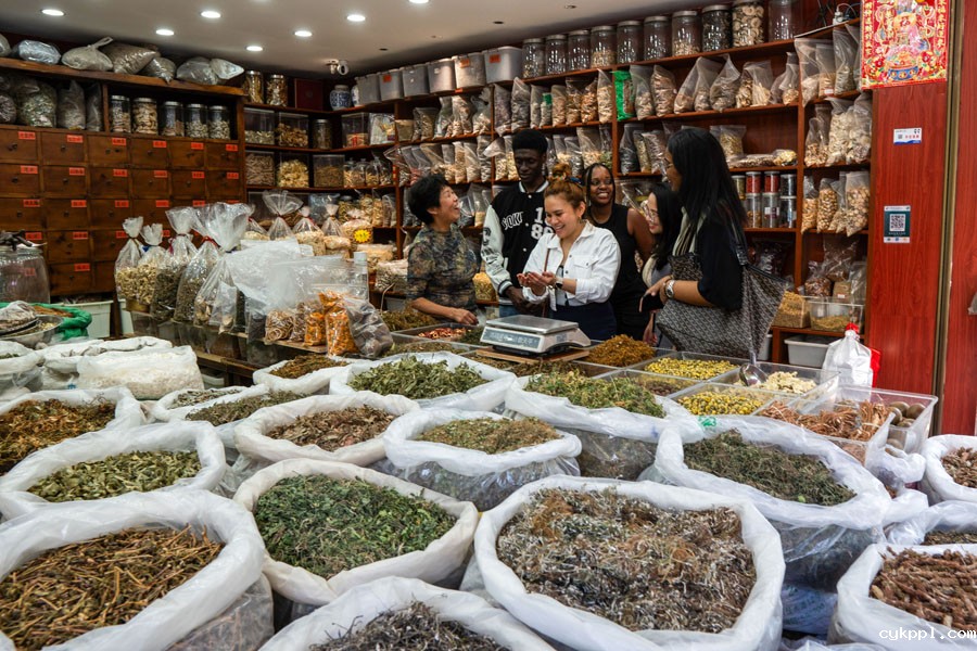 中医,一种跨越国界的热爱 中医,一种跨越国界的热爱