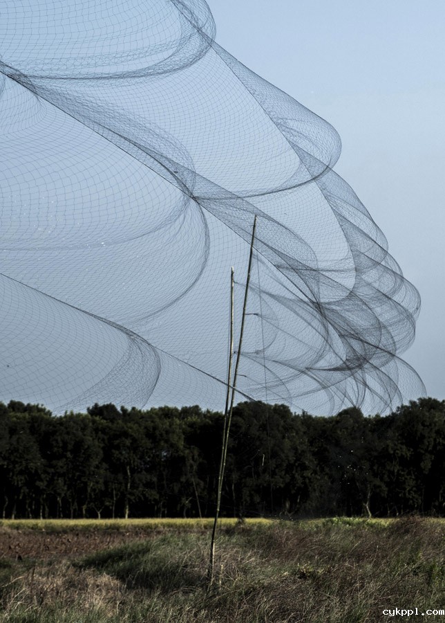 候鸟栖息地竟“长”出连片捕鸟网