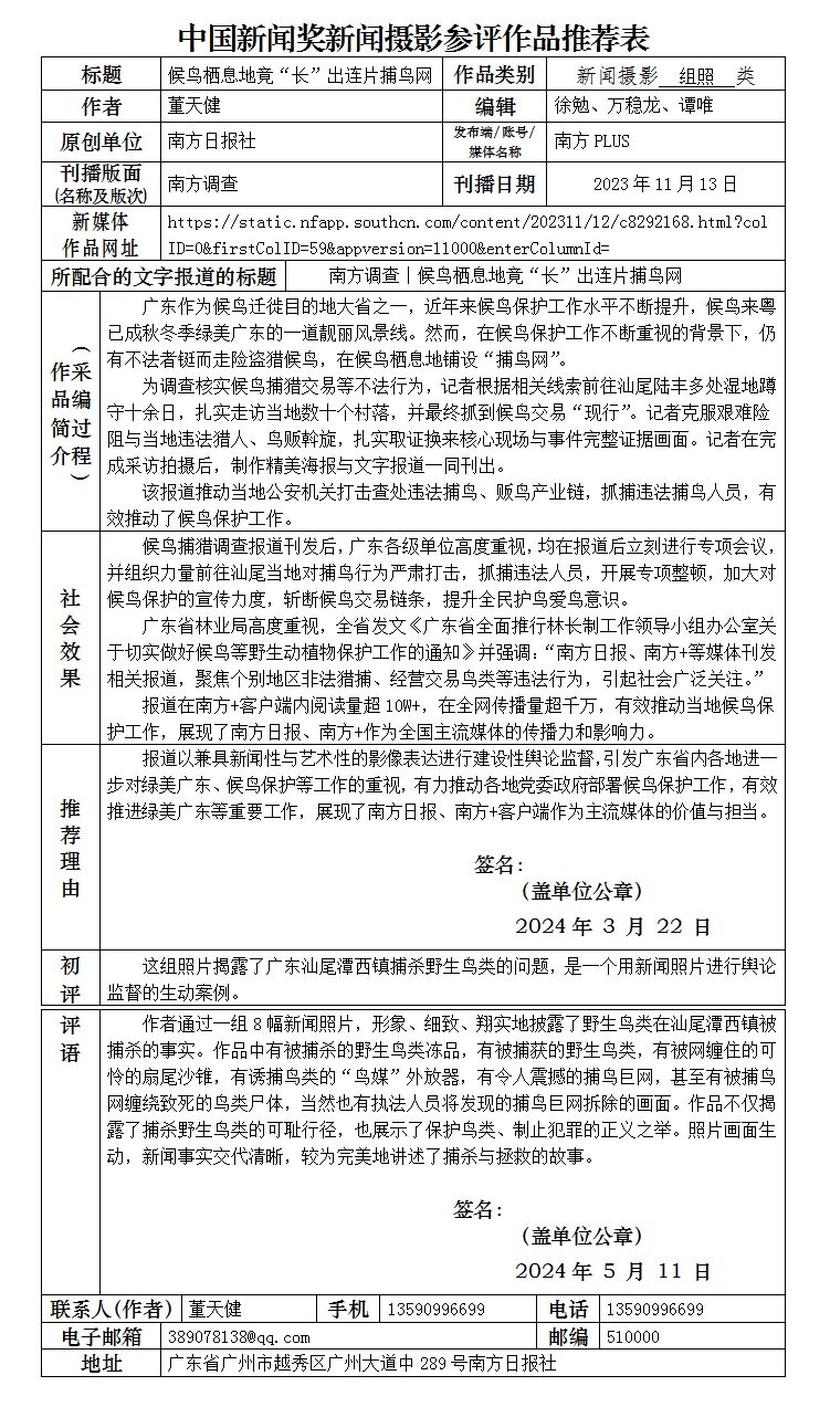 候鸟栖息地竟“长”出连片捕鸟网