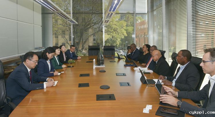 中国新闻代表团访问南非尼日利亚埃及