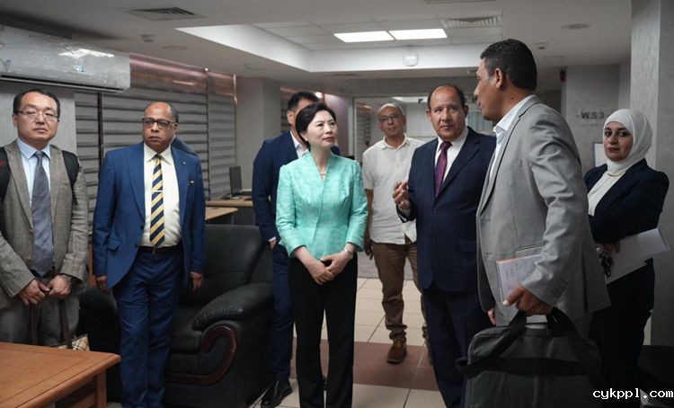 中国新闻代表团访问南非尼日利亚埃及