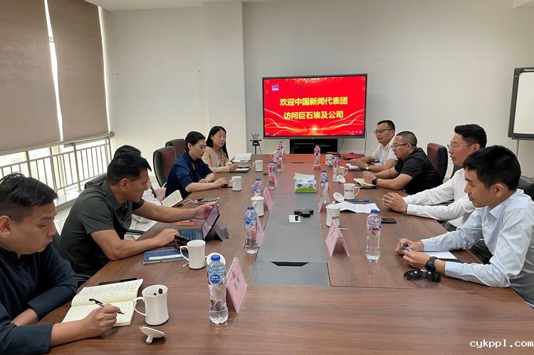 中国新闻代表团访问南非尼日利亚埃及