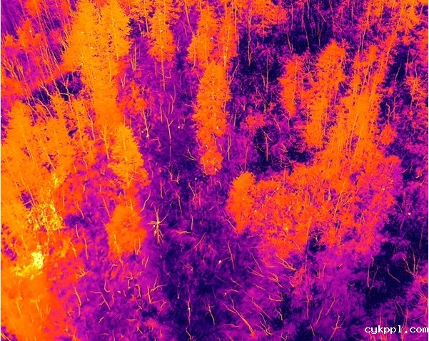 昼夜清晰，用途广泛！揭秘大疆行业全新多光旗舰负载禅思H30系列