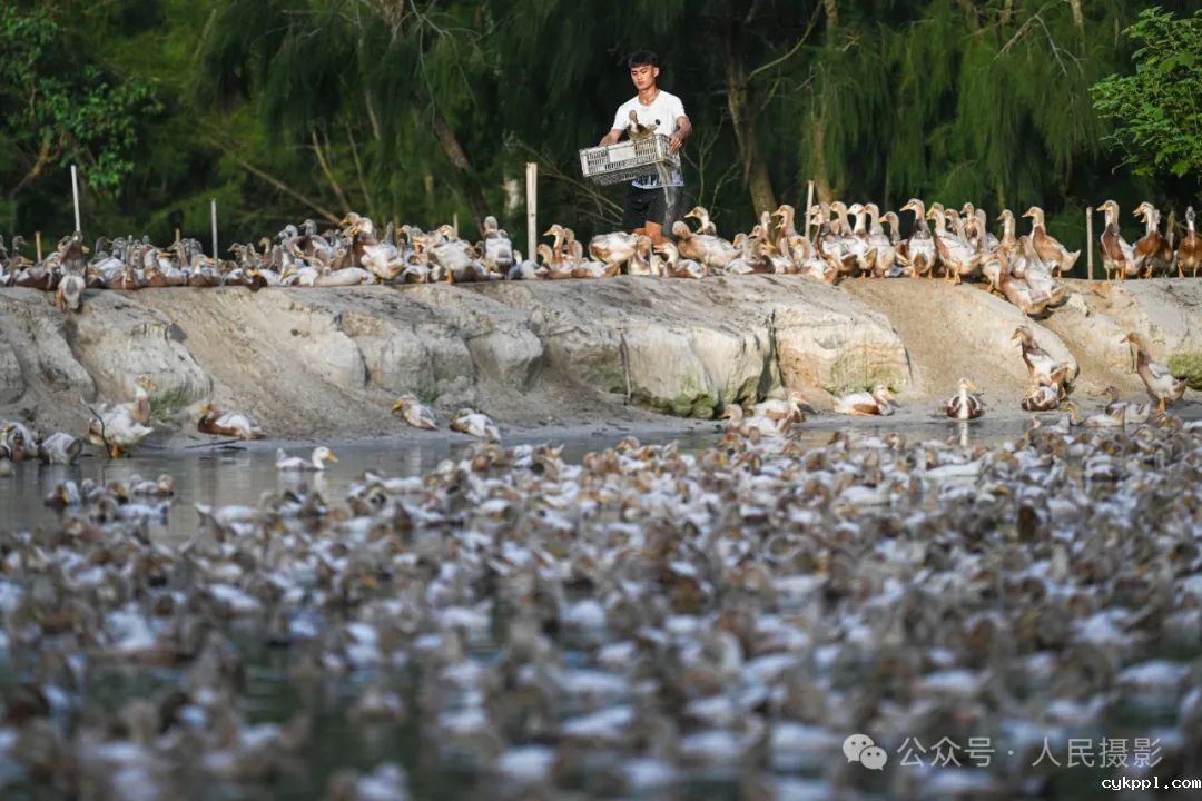 公示｜第33届“萍水相逢 湘东做东”杯人民摄影“金镜头”（2023年度）新闻摄影作品评选揭晓