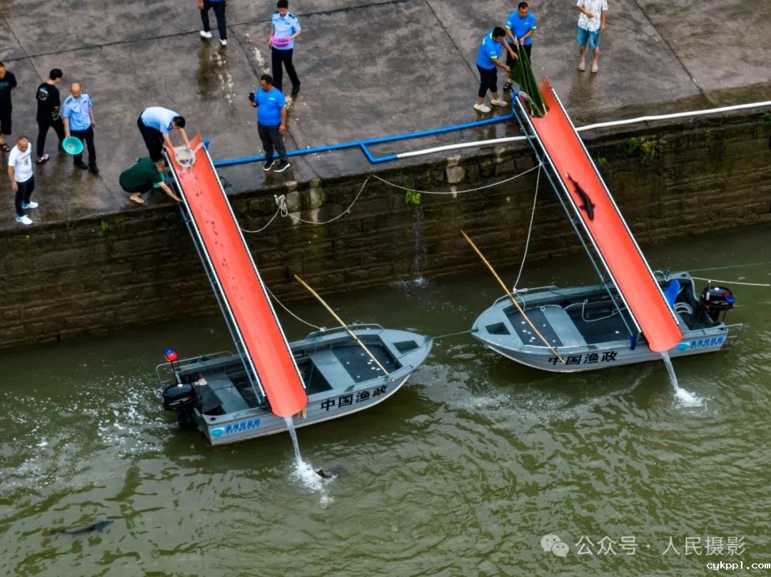 公示｜第33届“萍水相逢 湘东做东”杯人民摄影“金镜头”（2023年度）新闻摄影作品评选揭晓