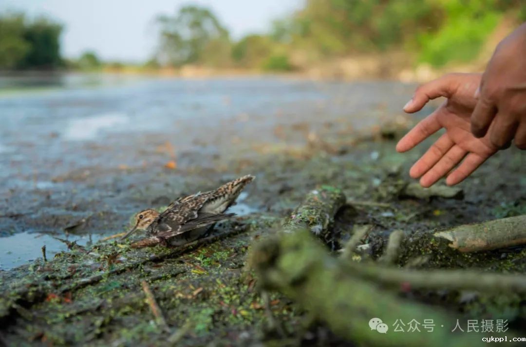 公示｜第33届“萍水相逢 湘东做东”杯人民摄影“金镜头”（2023年度）新闻摄影作品评选揭晓