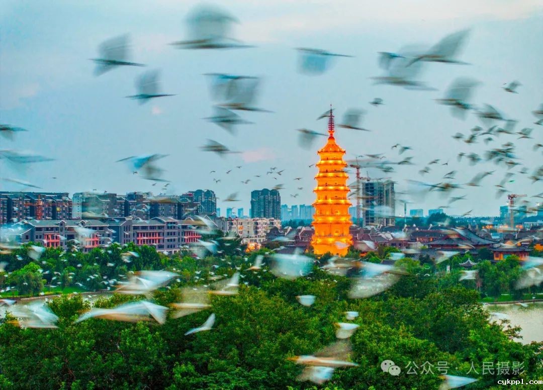 公示｜第33届“萍水相逢 湘东做东”杯人民摄影“金镜头”（2023年度）新闻摄影作品评选揭晓