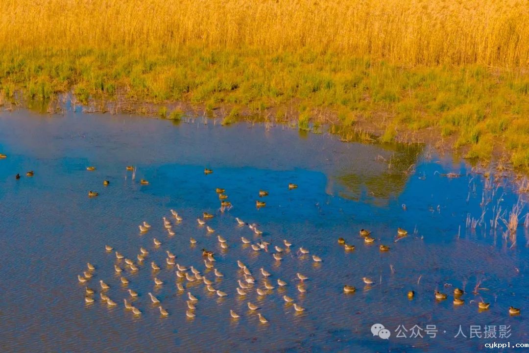 公示｜第33届“萍水相逢 湘东做东”杯人民摄影“金镜头”（2023年度）新闻摄影作品评选揭晓