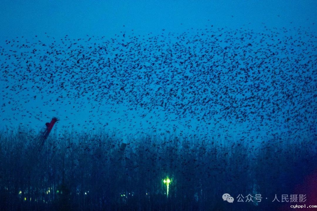 公示｜第33届“萍水相逢 湘东做东”杯人民摄影“金镜头”（2023年度）新闻摄影作品评选揭晓