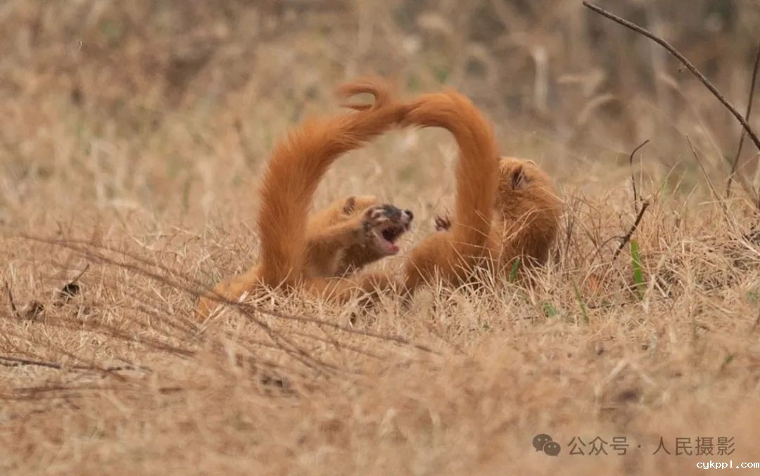 公示｜第33届“萍水相逢 湘东做东”杯人民摄影“金镜头”（2023年度）新闻摄影作品评选揭晓