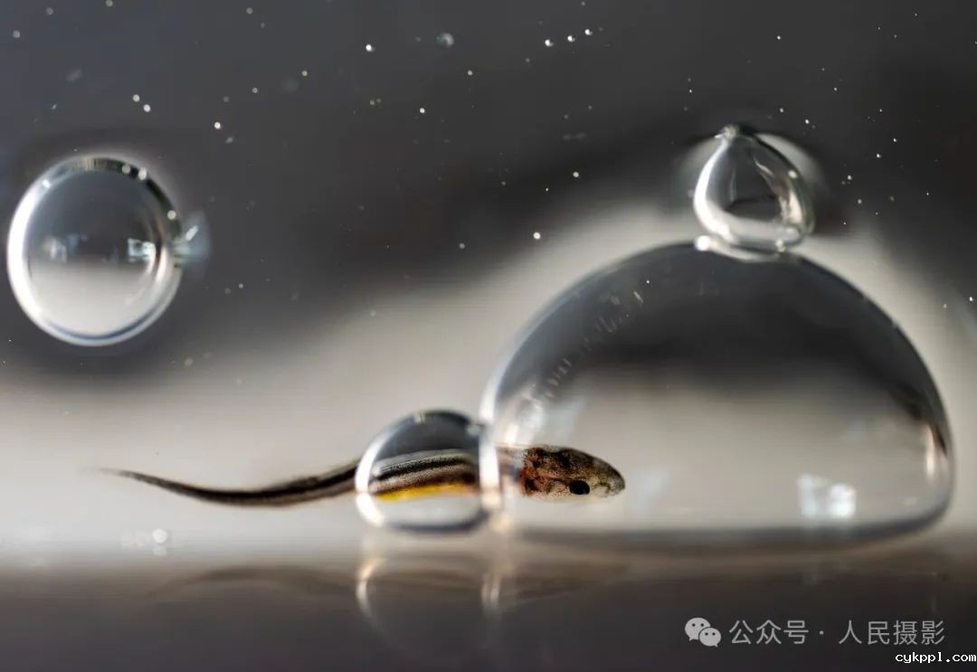 公示｜第33届“萍水相逢 湘东做东”杯人民摄影“金镜头”（2023年度）新闻摄影作品评选揭晓