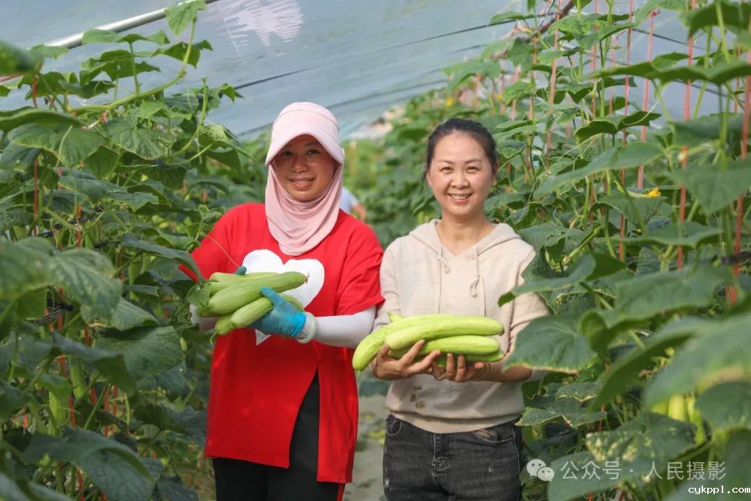 公示｜第33届“萍水相逢 湘东做东”杯人民摄影“金镜头”（2023年度）新闻摄影作品评选揭晓