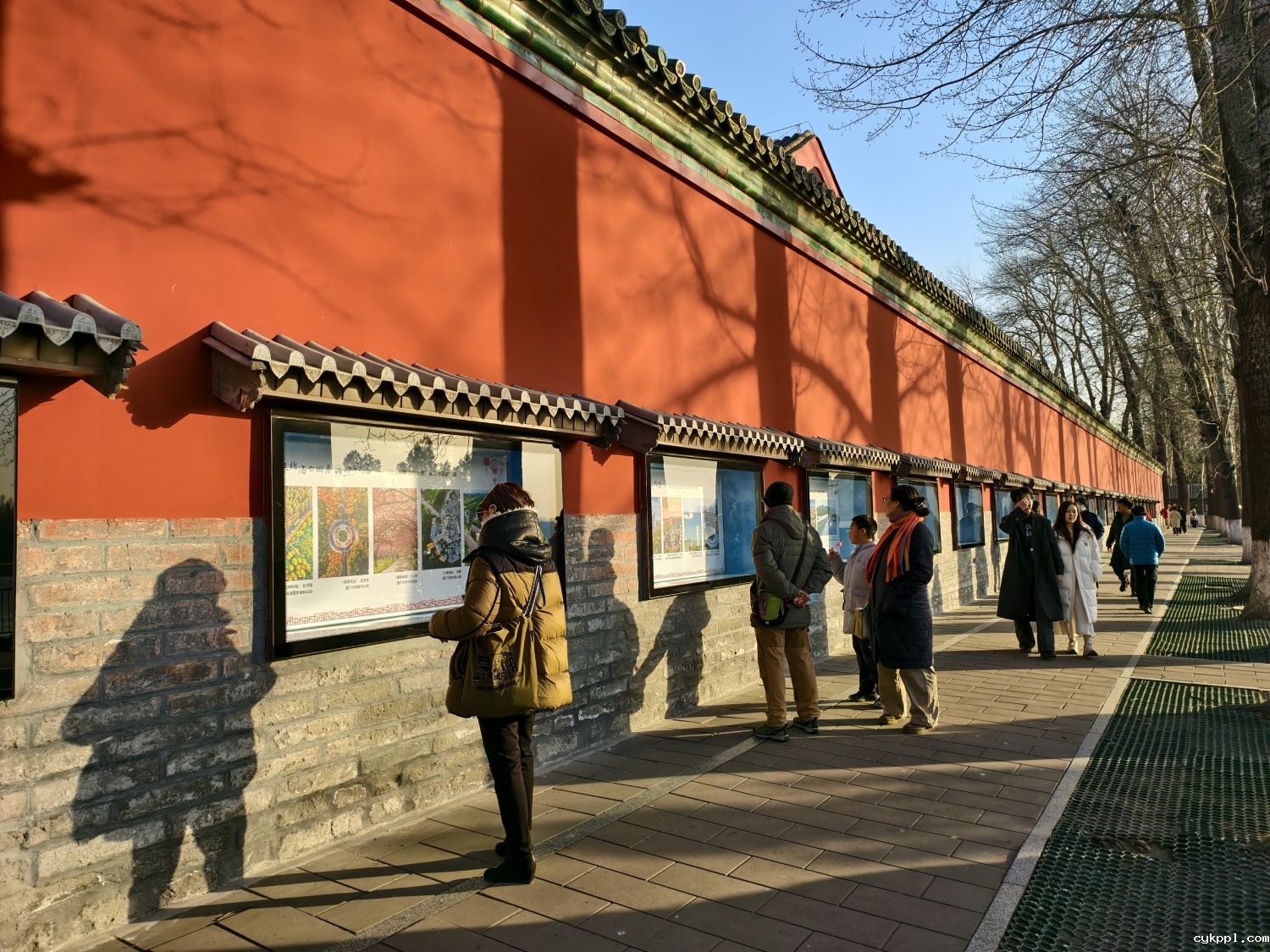 来北海公园看日照的海 | “阳光海岸 活力日照”摄影作品进京展在北京北海公园举办