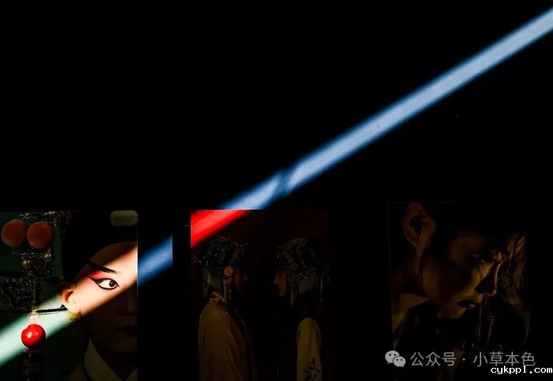 兰红光：我的2024年度照片