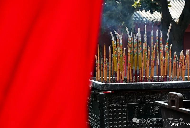 兰红光：我的2024年度照片