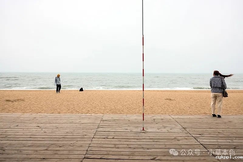 兰红光：我的2024年度照片