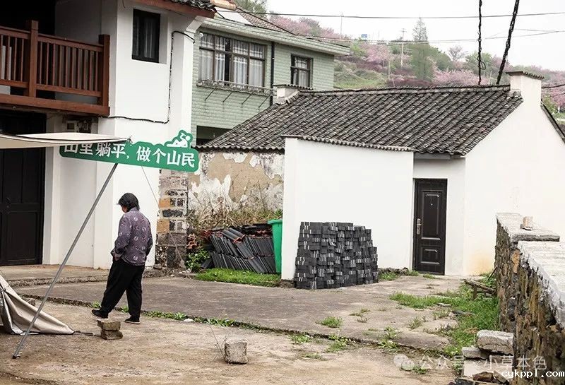 兰红光：我的2024年度照片