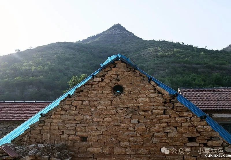 兰红光：我的2024年度照片