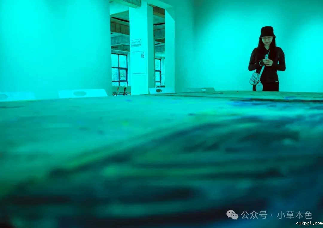 兰红光：我的2024年度照片