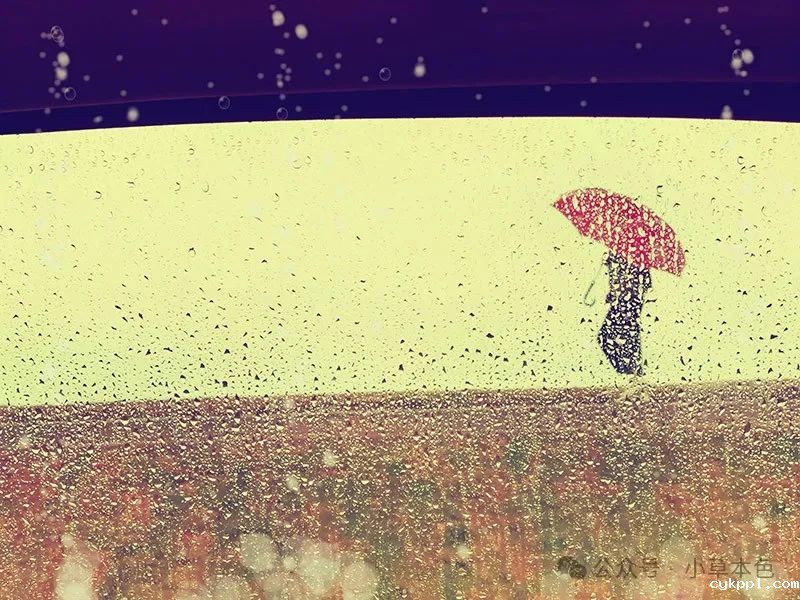 兰红光：我的2024年度照片