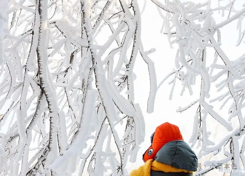 兰红光：我的2024年度照片