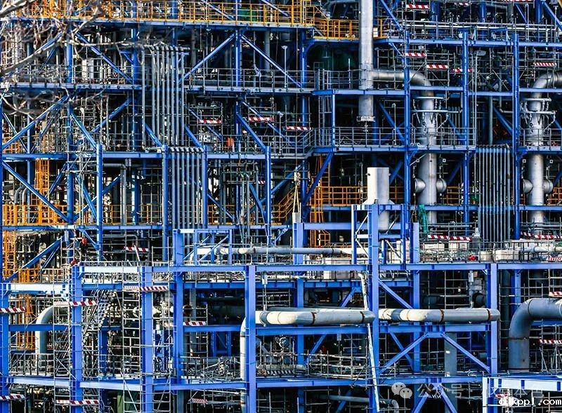 兰红光：我的2024年度照片