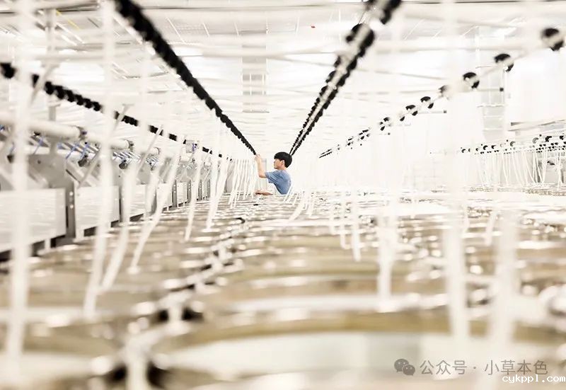 兰红光：我的2024年度照片