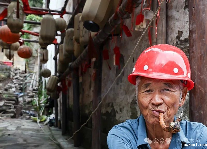 兰红光：我的2024年度照片