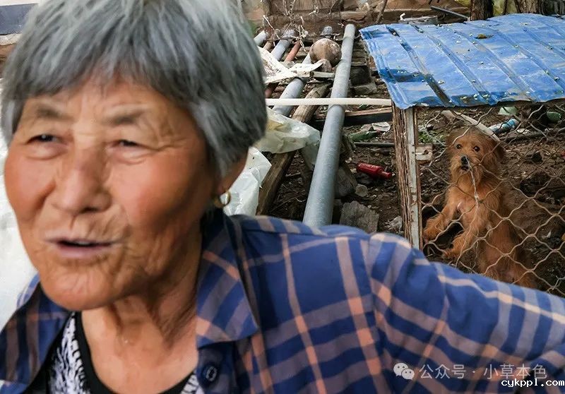 兰红光：我的2024年度照片