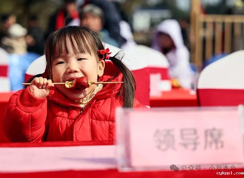 兰红光：我的2024年度照片