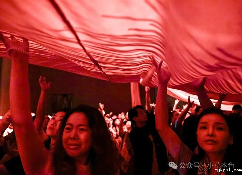 兰红光：我的2024年度照片