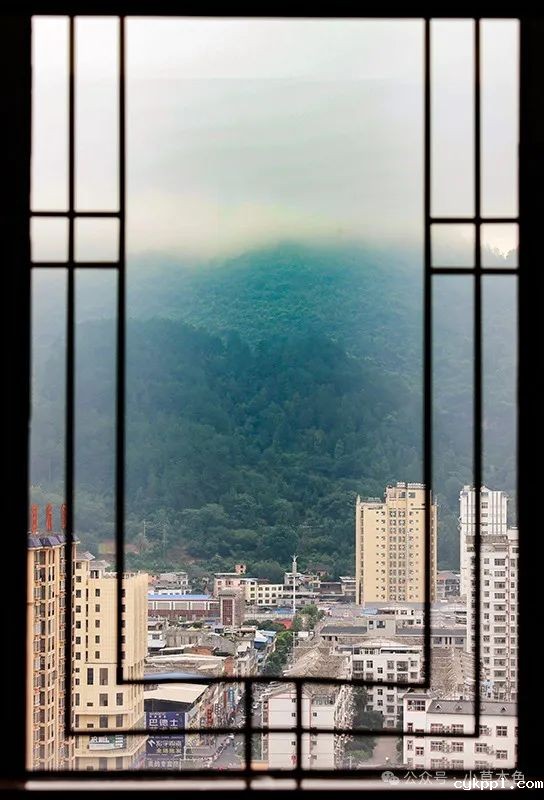 兰红光：我的2024年度照片