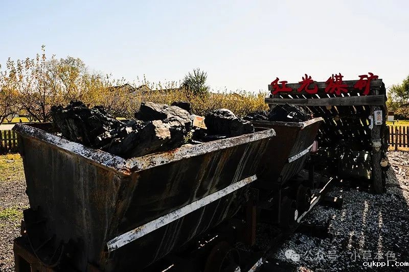 兰红光：我的2024年度照片