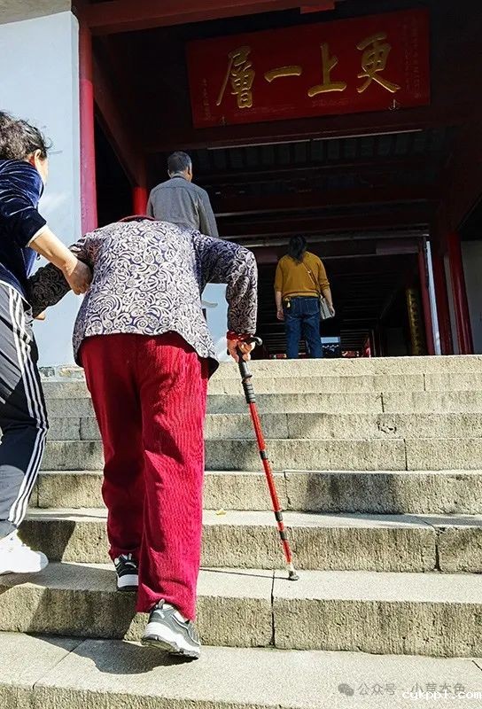 兰红光：我的2024年度照片