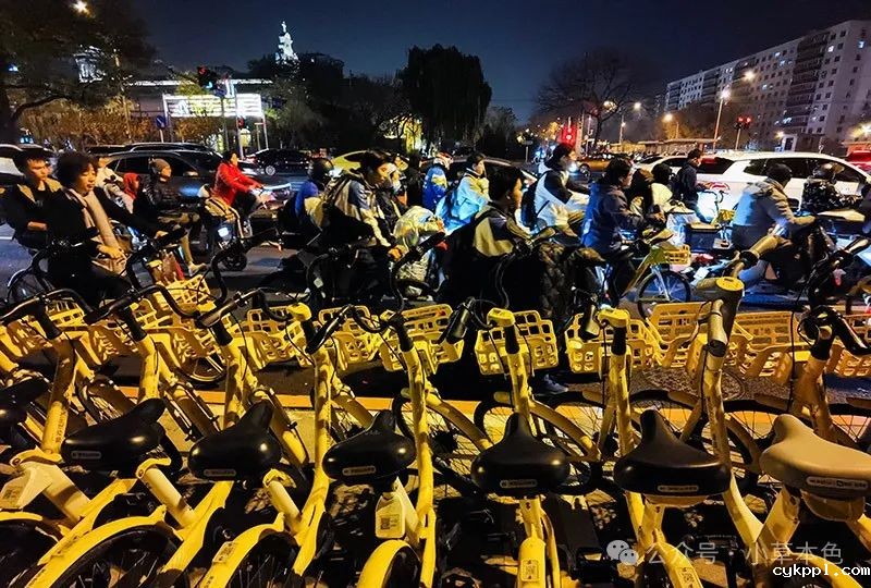 兰红光：我的2024年度照片