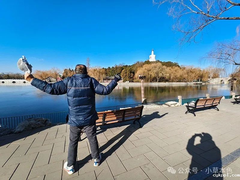 兰红光：我的2024年度照片