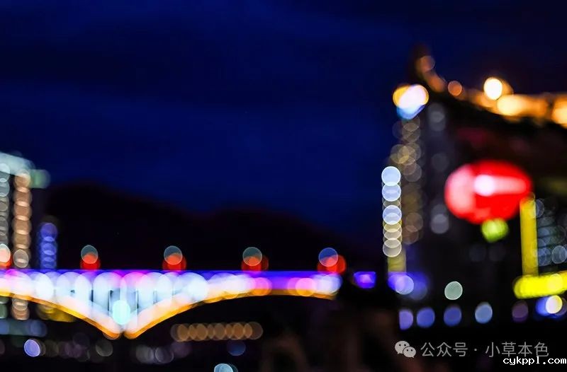 兰红光：我的2024年度照片