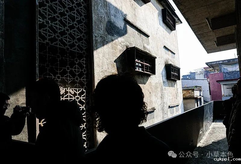 兰红光：我的2024年度照片