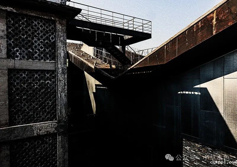 兰红光：我的2024年度照片