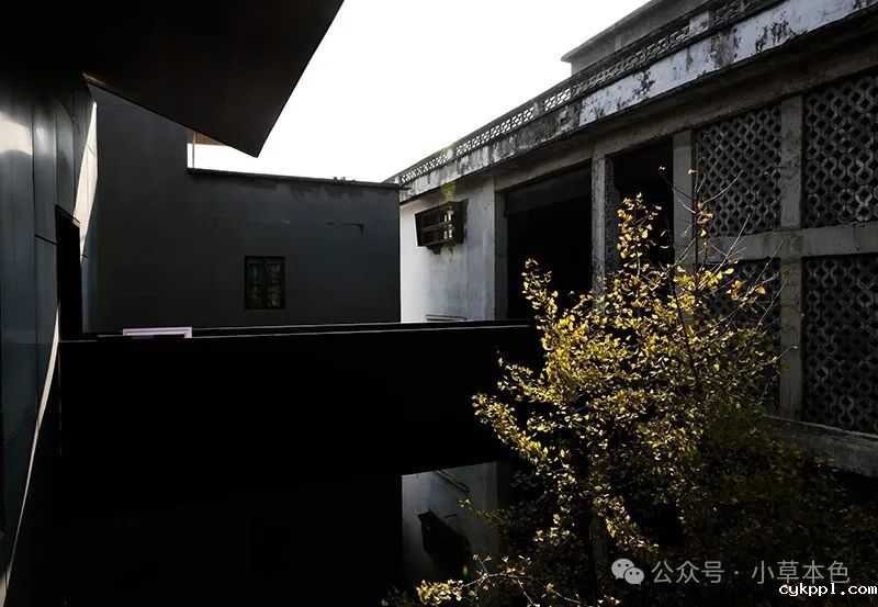 兰红光：我的2024年度照片