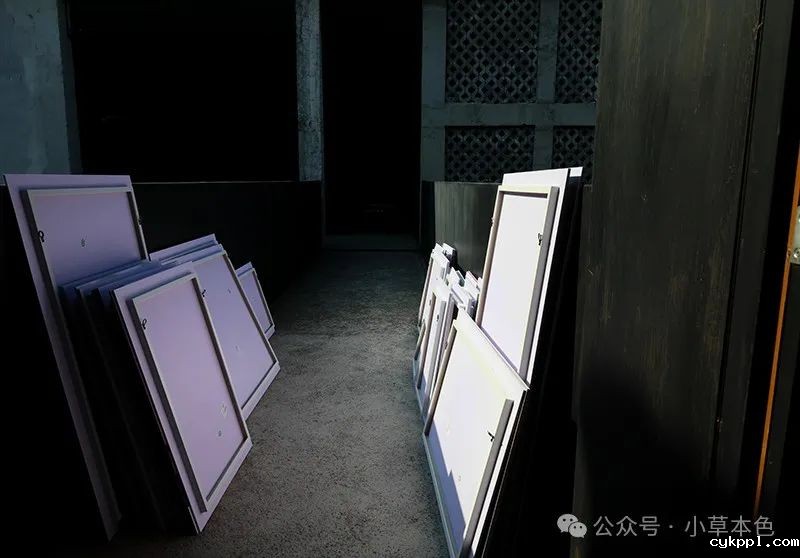 兰红光：我的2024年度照片