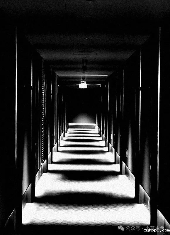 兰红光：我的2024年度照片