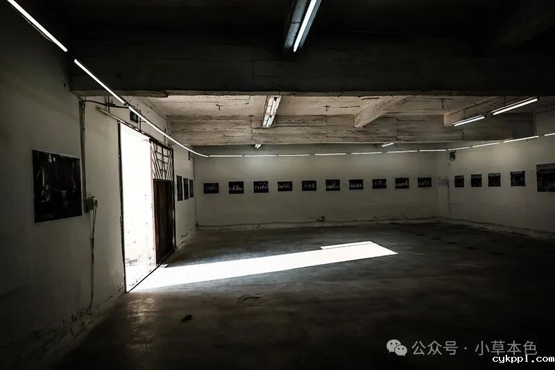 兰红光：我的2024年度照片