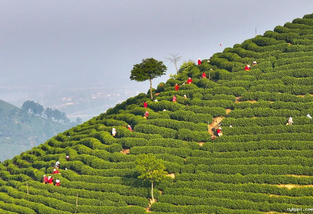 铸魂砺镜:马克思主义新闻观引领新时代影像实践