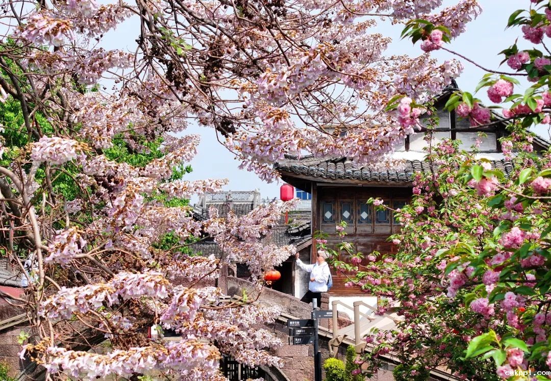 铸魂砺镜:马克思主义新闻观引领新时代影像实践