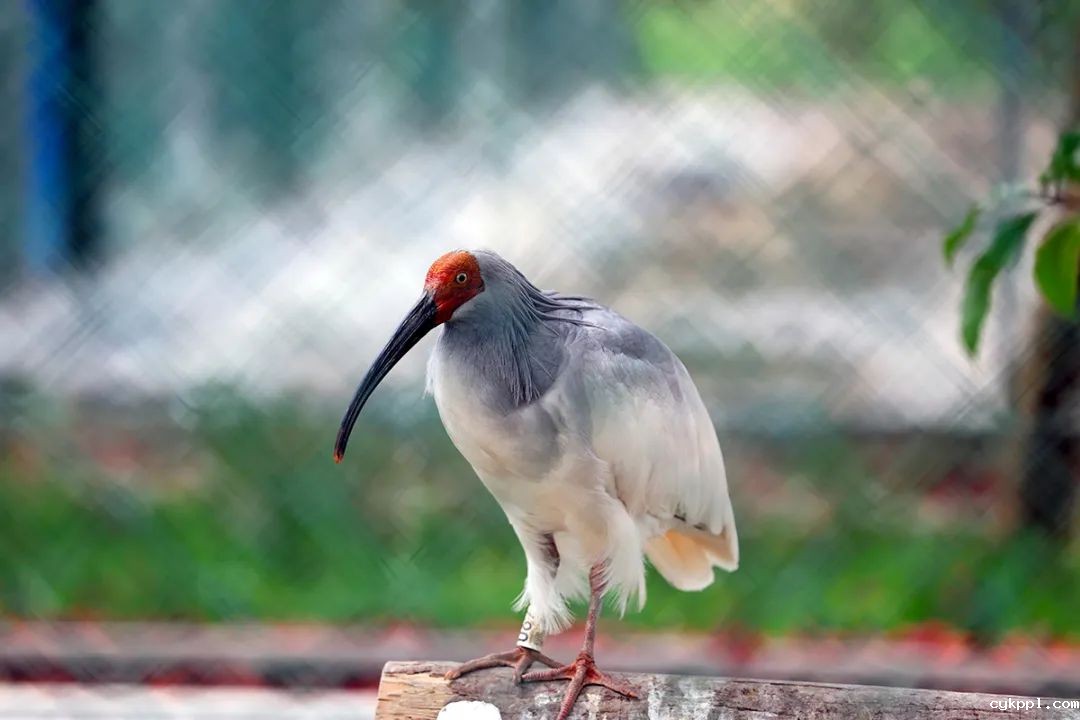 铸魂砺镜:马克思主义新闻观引领新时代影像实践