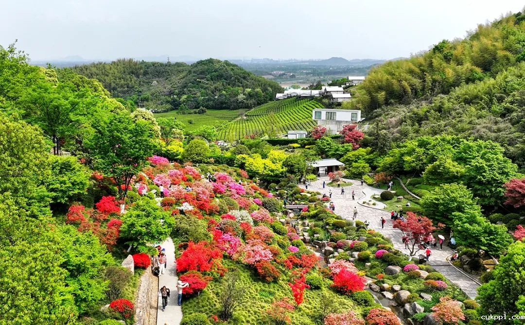 铸魂砺镜:马克思主义新闻观引领新时代影像实践