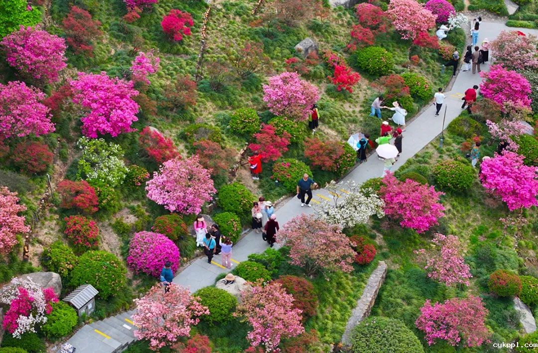 铸魂砺镜:马克思主义新闻观引领新时代影像实践