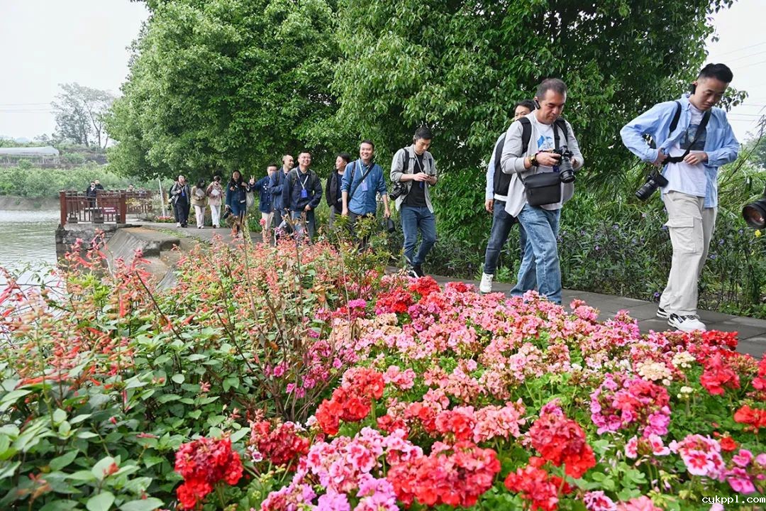 65名川渝新闻摄影人齐聚重庆綦江 用镜头见证发展与协作